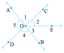 Page 102 Chapter 5 Class 7th Non-Rationalised NCERT 2019-20